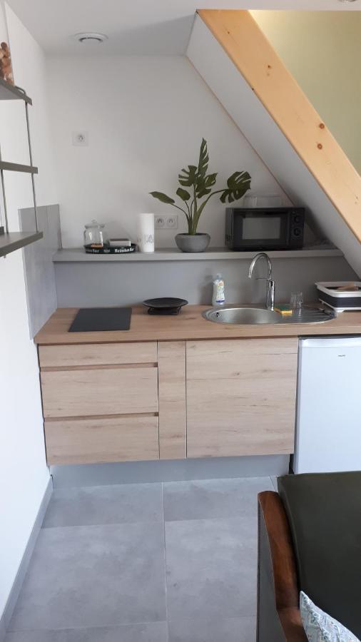 Le Chartreuse / Rent4Night Grenoble Apartamento Exterior foto